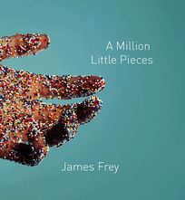 A Million Little Pieces