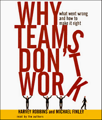 Why Teams Don't Work