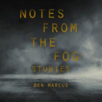Notes from the Fog