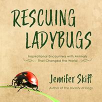 Rescuing Ladybugs