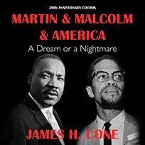Martin & Malcolm & America