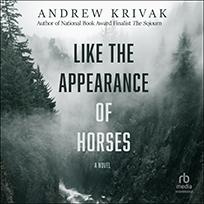 Like the Appearance of Horses