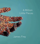 A Million Little Pieces