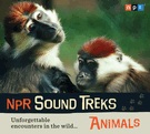 NPR Sound Treks: Animals