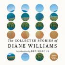 The Collected Stories of Diane Williams