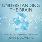 Understanding the Brain