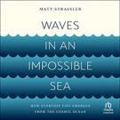 Waves in an Impossible Sea