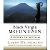 Black Virgin Mountain